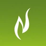 Nambiar logo
